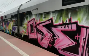 Grafficiarze zniszczyli w nocy pociąg PKM