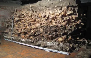 Badają 80 tys. kości dawnych mieszkańców Gdańska
