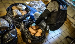 Policjanci przejęli 55 kg narkotyków