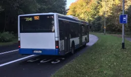 Gdynia: Autobusy po Małokackiej jadą już buspasem