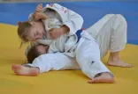 Medale mistrzostw Polski młodzików w judo