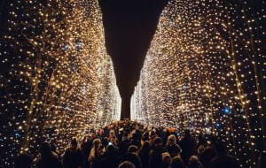 Tysiące światełek znów rozbłysną w parku Oliwskim