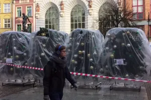 Długi Targ: sztuczna choinka wjechała w częściach