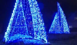 Iluminacje świąteczne rozbłysły w dzielnicach Gdyni