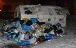 Śnieg znika z ulic, ale śmieci przy śmietnikach zostają
