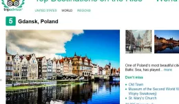 Gdańsk w czołówce rankingu portalu podróżniczego TripAdvisor