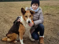 Zaginiony pies wrócił do swojego właściciela po 2 latach