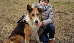 Zaginiony pies wrócił do swojego właściciela po 2 latach