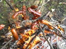 Jezioro Łapińskie; piknik w okolicach Trójmiasta
