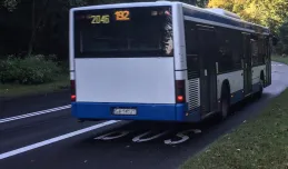 Gdynia: buspasem po Małokackiej dwa razy szybciej niż w korku