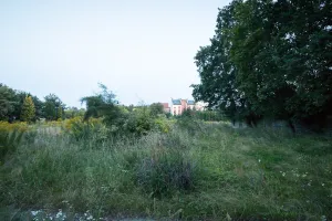 Jakie osiedle powstanie po gospodarstwie ogrodniczym Okaz?