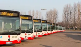 Gdańsk chce kupić 46 nowych autobusów