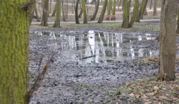 Skąd podwyższony stan wód w Parku Brzeźnieńskim?