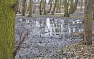 Skąd podwyższony stan wód w Parku Brzeźnieńskim?
