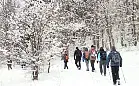 3-dniowa zimowa wędrówka Szlakiem Skarszewskim