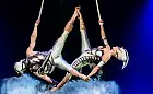 Podróż w mikrokosmos z Cirque du Soleil. O spektaklu "Ovo"
