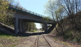 Potrzebny remont linii z Kokoszek do Kartuz. Miłośnicy kolei zbierają podpisy i zapraszają na przejazd