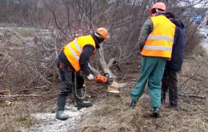 Ruszyła wycinka drzew dla ul. Nowej Słowackiego