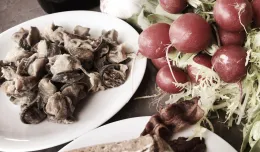 Gastrobanda: Kamil z najszybszymi ślimakami świata