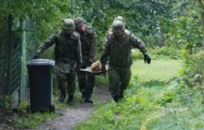 Saperzy neutralizują pociski na Westerplatte