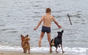 Propozycja: prysznic dla psów przy plaży w Brzeźnie