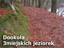 Jeziora okolic Trójmiasta