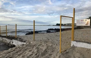 Czytelniczka: plaża dla psów w Brzeźnie jest bezużyteczna
