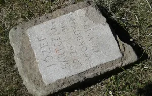 Nagrobek  z cmentarza na Zaspie na budowie Nowej Bulońskiej