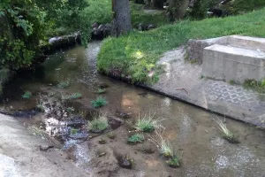 Co z nowymi kładkami nad rzeką Kaczą?