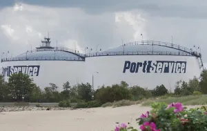Polityczna próba kontroli w Port Service