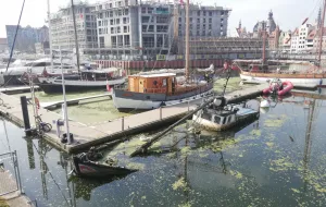 Wrak jachtu od dwóch lat zalega w marinie w Gdańsku