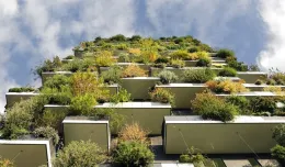 Architekt: zielone Trójmiasto? To możliwe