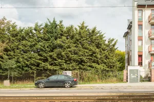 Budżet obywatelski. Powstanie park bez głównego wejścia