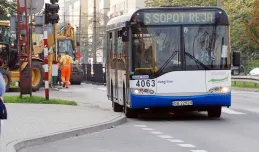 Gdynia: autobus pospieszny, bilet normalny