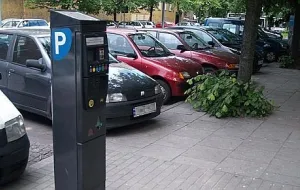 Gdynia: pełzająca strefa płatnego parkowania