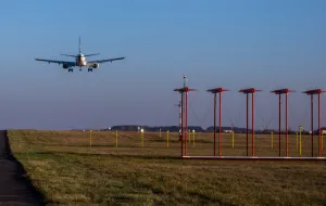 Ptaki wyłączyły ILS na lotnisku w Gdańsku