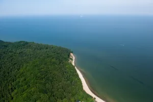 Kępa Redłowska na razie bez szlaków spacerowych