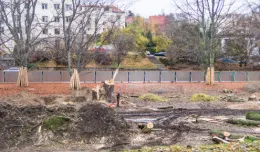 Wycinka drzew na początek budowy Parku Centralnego
