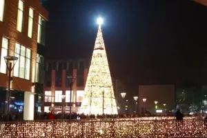 Pierwsza choinka w Trójmieście już rozbłysła
