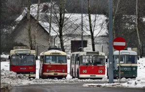 Zabytkowe trolejbusy wrócą pod dach