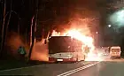 Pożar autobusu miejskiego na Spacerowej i baru w Brzeźnie
