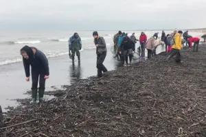 Bursztynowe żniwa na plażach