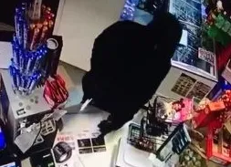 Uzbrojony złodziej okradł niewielki sklep