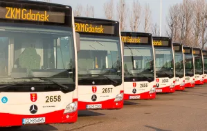 Za 117 mln Gdańsk wydzierżawi 48 mercedesów na osiem lat
