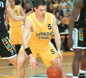 Wzmocnienia Trefla i Lotosu