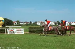 Niedziela na hipodromie