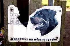 Szukała matki, znalazła śmierć