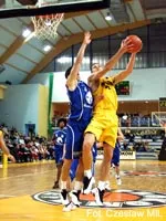 Prokom Trefl - Gipsar Stal