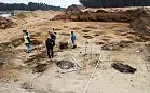 Tereny pod Trasę Kaszubską sprawdzą archeolodzy