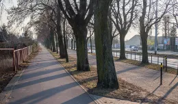 Miasto rezygnuje z przebudowy drogi rowerowej we Wrzeszczu